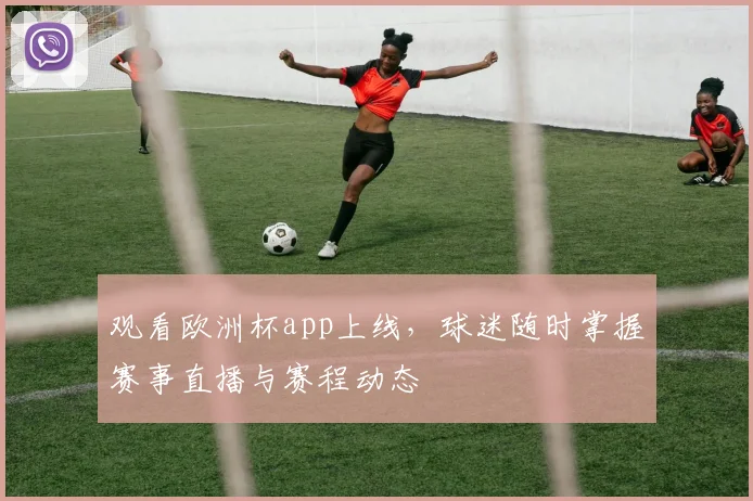 观看欧洲杯app上线,球迷随时掌握赛事直播与赛程动态